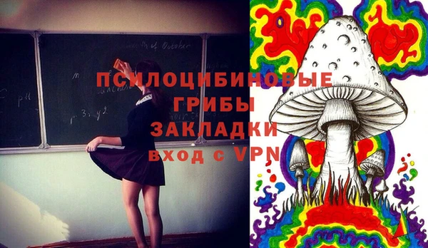 мет Ельня