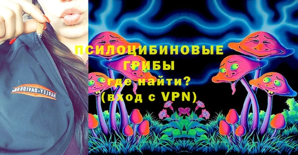 мет Ельня