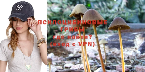 мескалин Елабуга