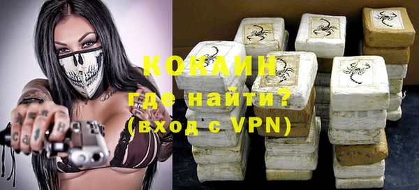мет Ельня