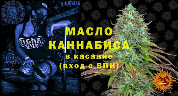 мет Ельня