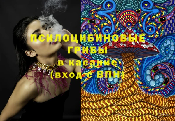 мет Ельня