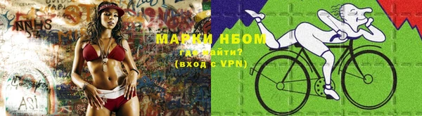 спиды Елизово