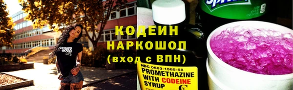 мет Ельня
