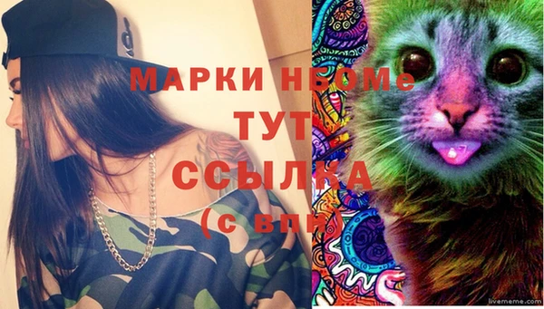 мет Ельня